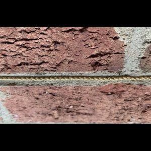 14K Gold Rope Necklace